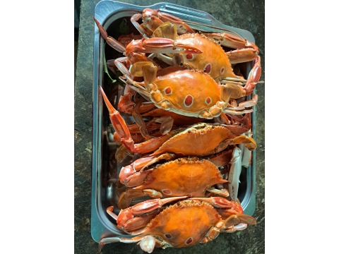 MỘT SỐ MÓN NGON TẠI QUÁN